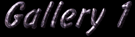 Anouk Gallery 1