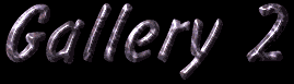 Anouk Gallery 2