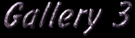 Anouk Gallery 3