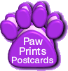 Paw Prints Free Multimedia Postcards